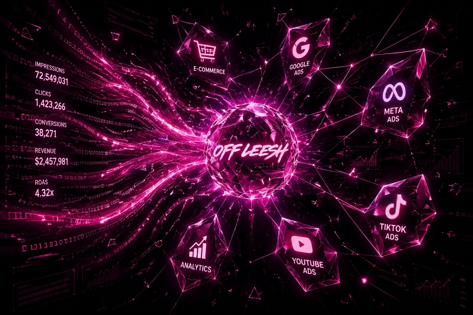 Off Leesh multichannel network: Google Ads, Meta Ads, TikTok Ads, YouTube Ads and ecommerce analytics working as one