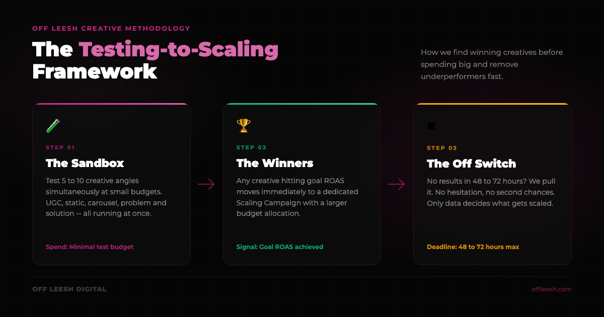 The Off Leesh Testing-to-Scaling Framework: Sandbox, Winners, and the Off Switch